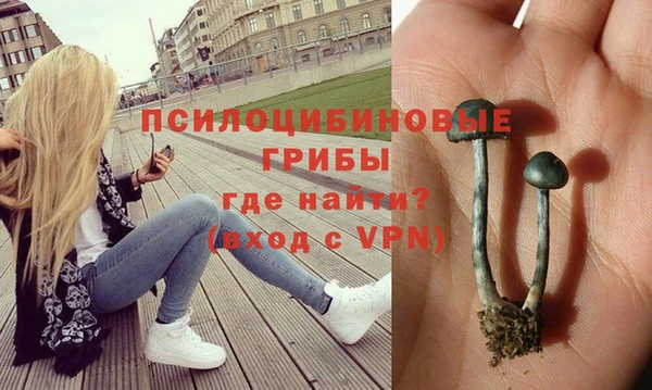 каннабис Покачи