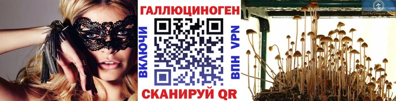 сколько стоит  Калининец  Псилоцибиновые грибы мицелий 